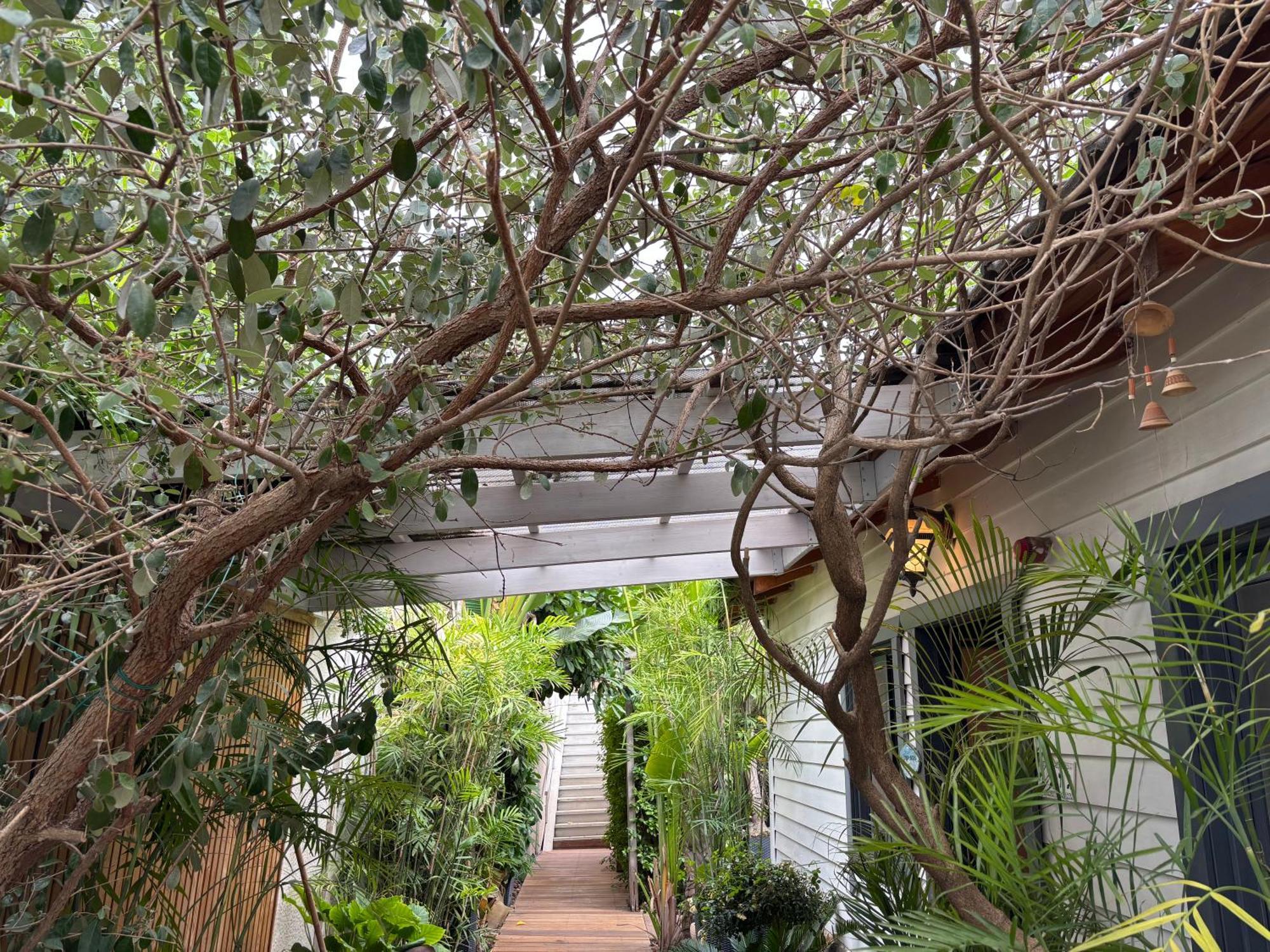 Kesem Bagolan Villa Had Nes Exterior photo